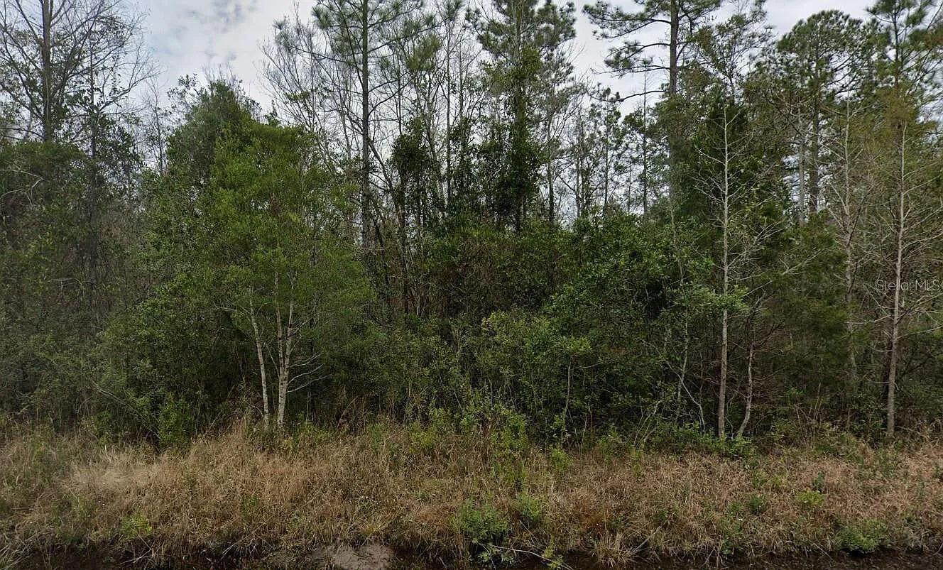 4220 Isaac Street, FL 32145 photo 4