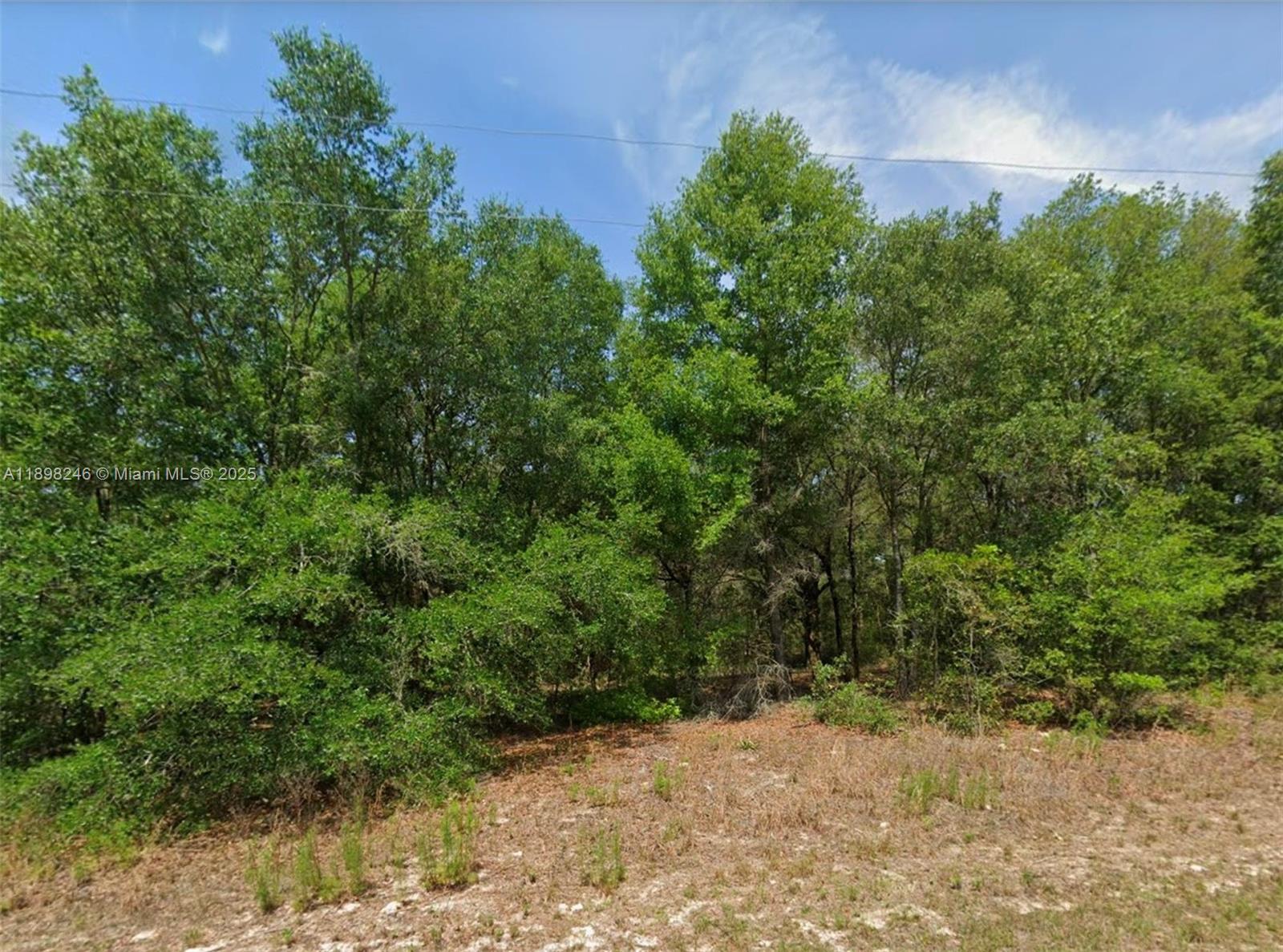 11451 N clare, Citrus Springs FL 34434