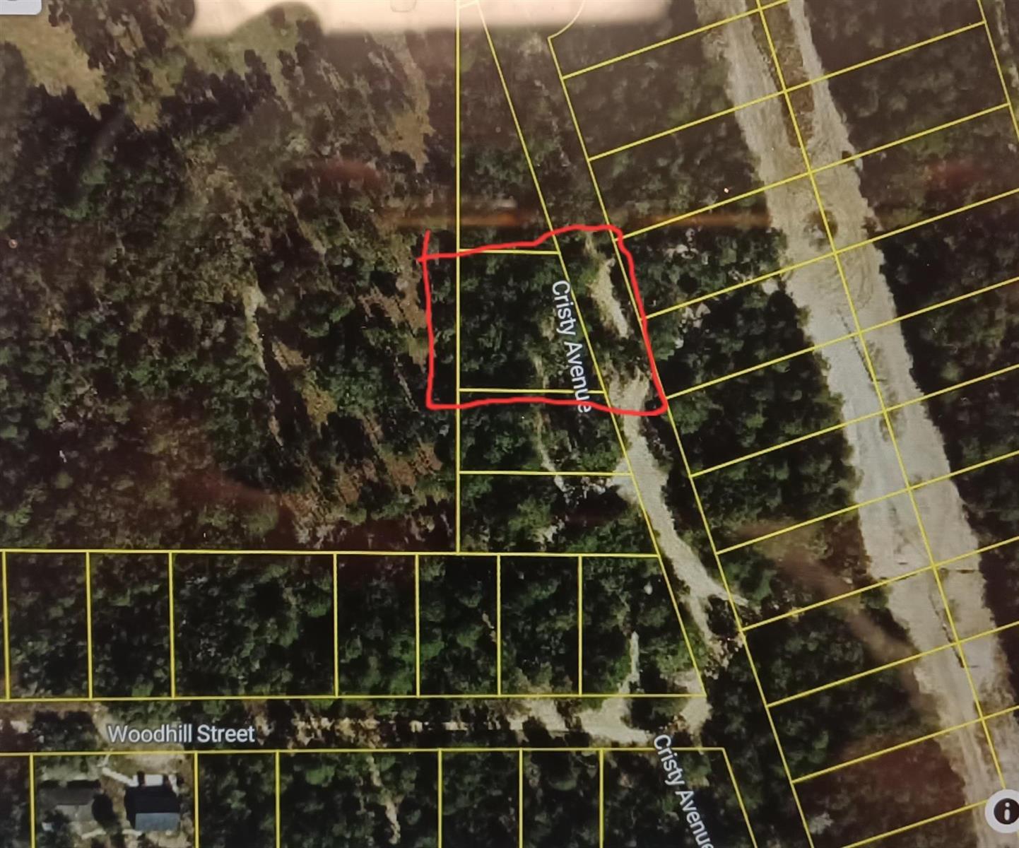 107 N Cristy Avenue, Inverness FL 34452 photo 2
