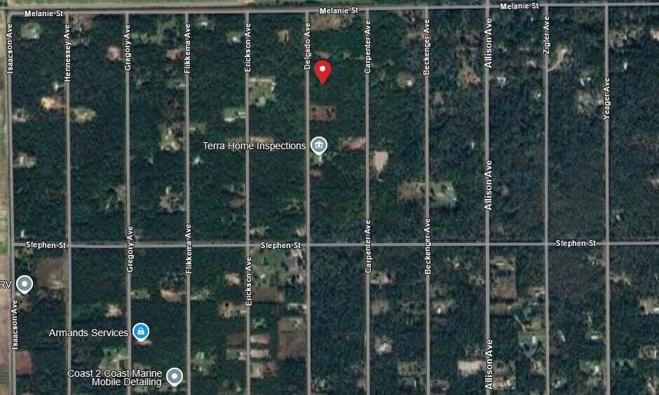 10040 Delgado Avenue, FL 32145 photo 3