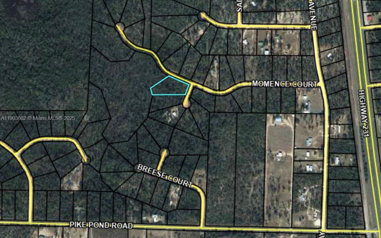 MOMENCE CT-Alford MOMENCE CT, Other City - In The State Of Florida FL 32420 photo 2