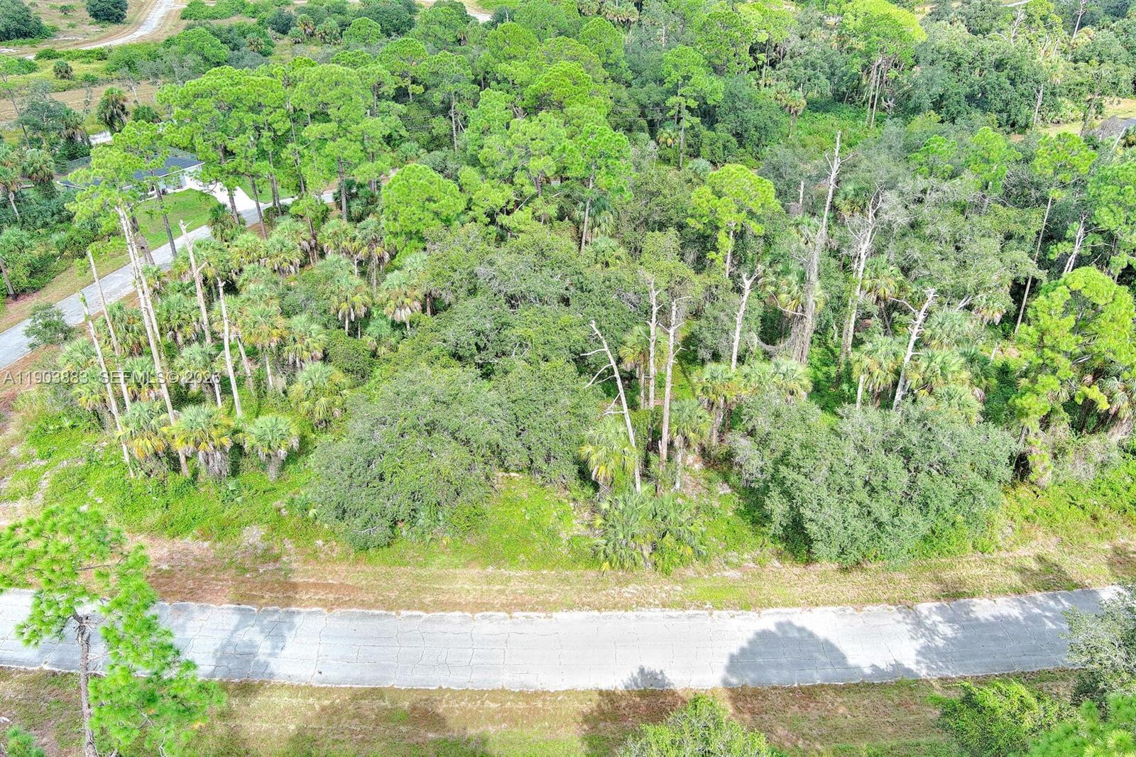 232 SPARKLE DR, La Belle FL 33935 photo 5
