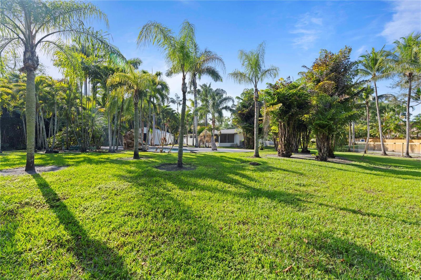 16900 SW 62nd Street, Southwest Ranches FL 33331 photo 5