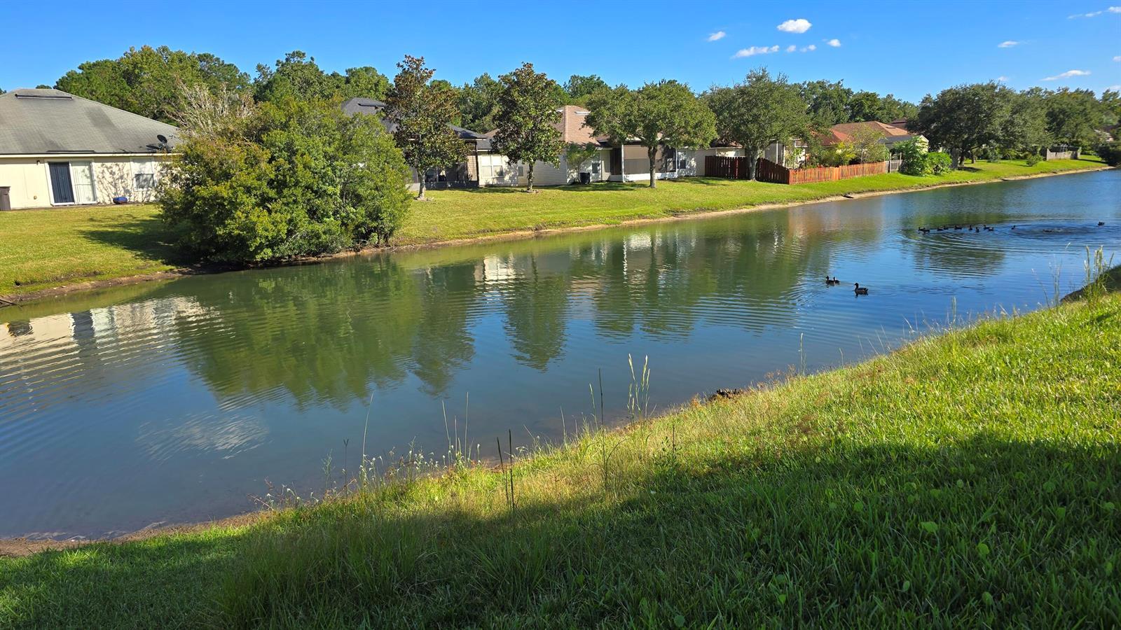 6419 Blue Leaf Lane, Jacksonville FL 32244 photo 4