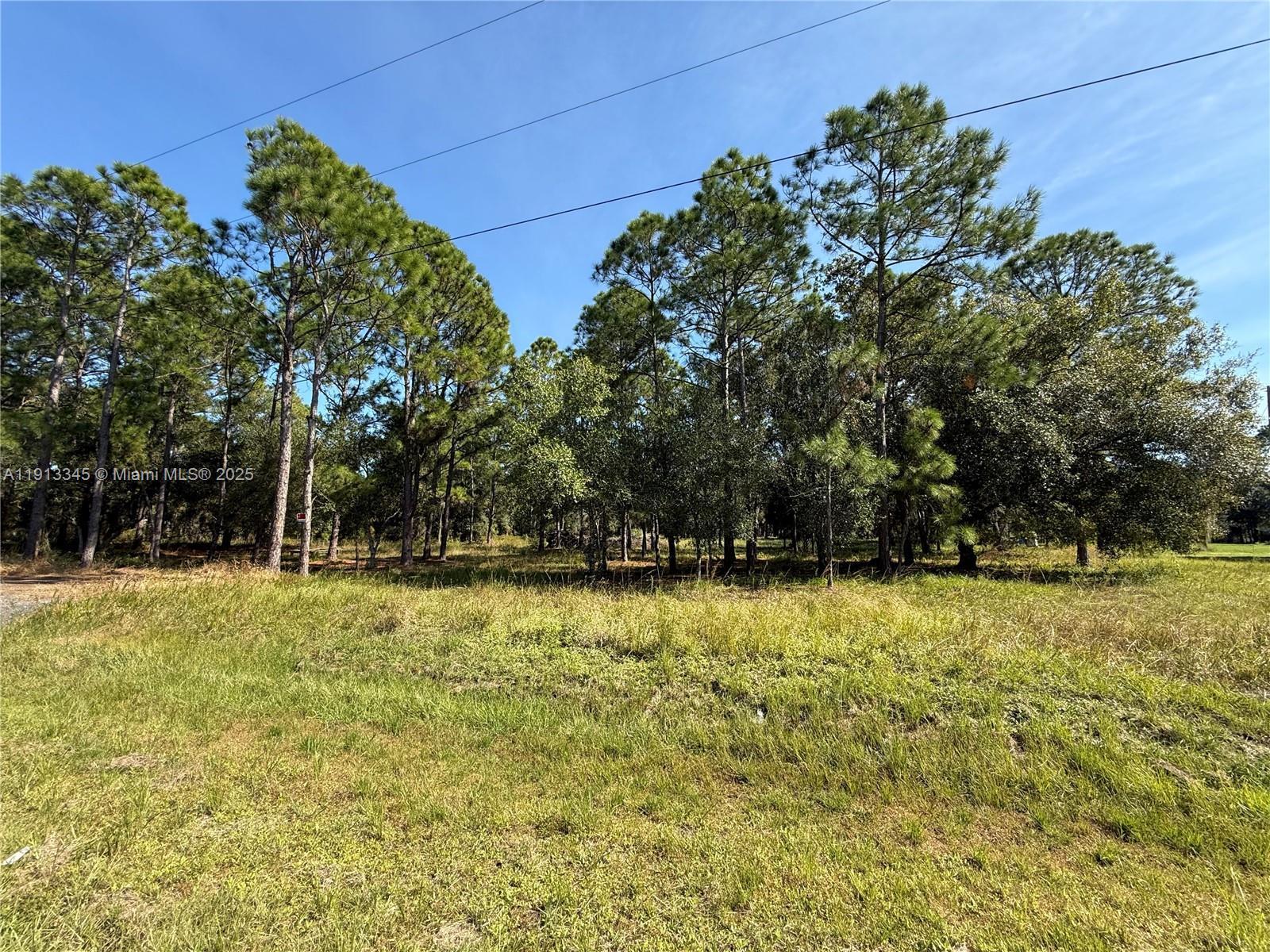 335 N LINDERO ST, Clewiston FL 33440 photo 2
