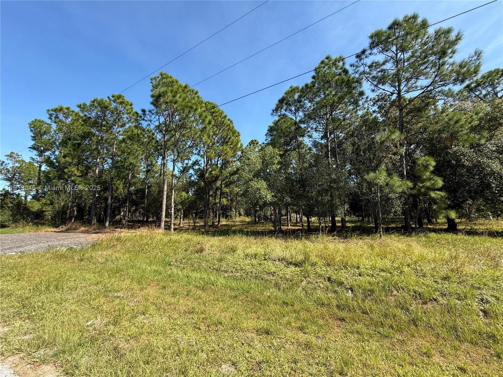 335 N LINDERO ST, Clewiston FL 33440 photo 3