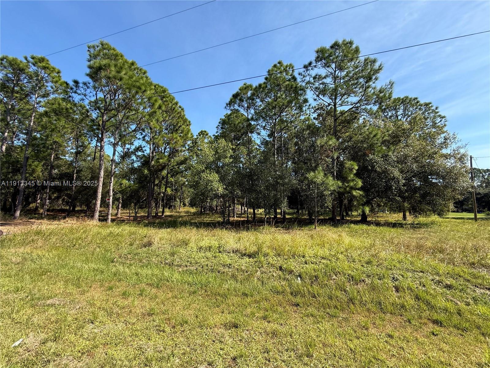 335 N LINDERO ST, Clewiston FL 33440