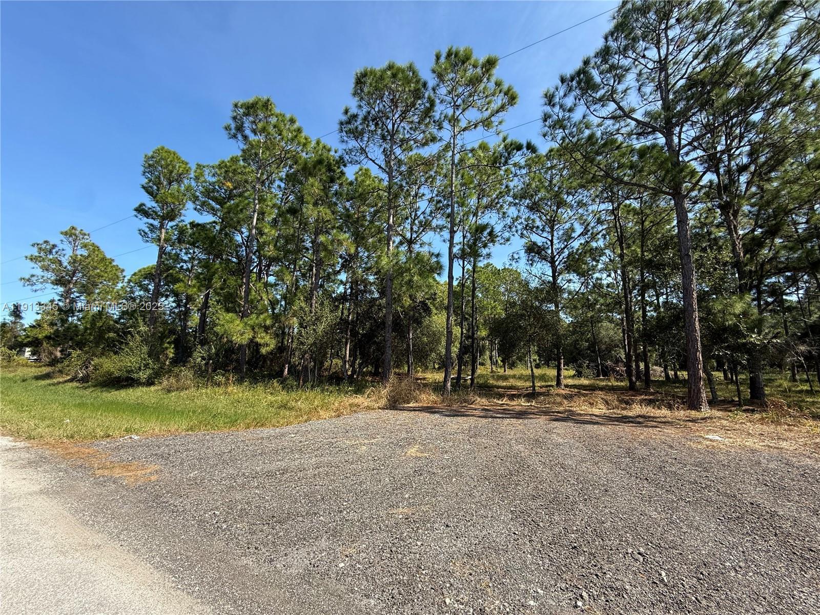 335 N LINDERO ST, Clewiston FL 33440 photo 5