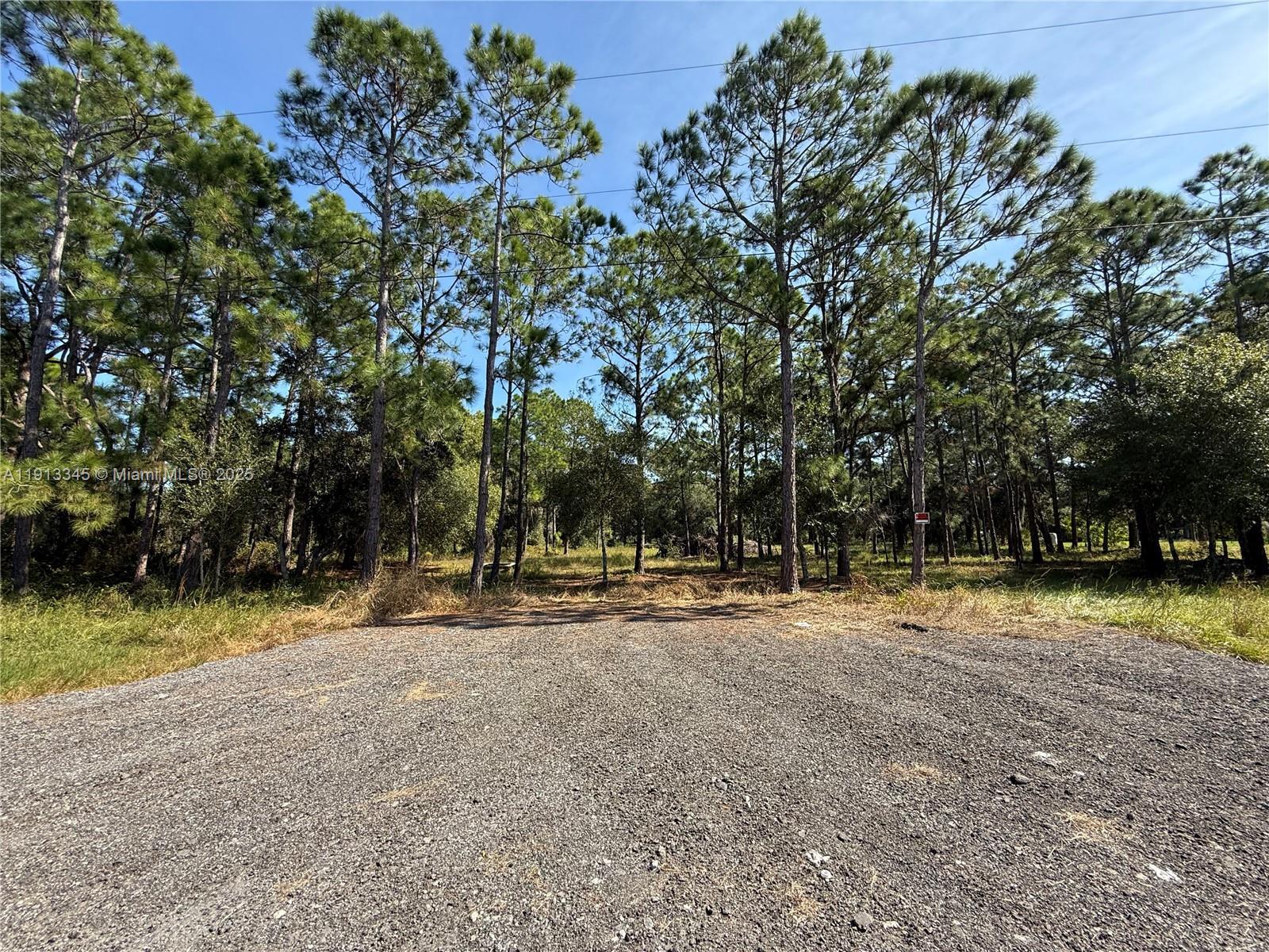 335 N LINDERO ST, Clewiston FL 33440 photo 4