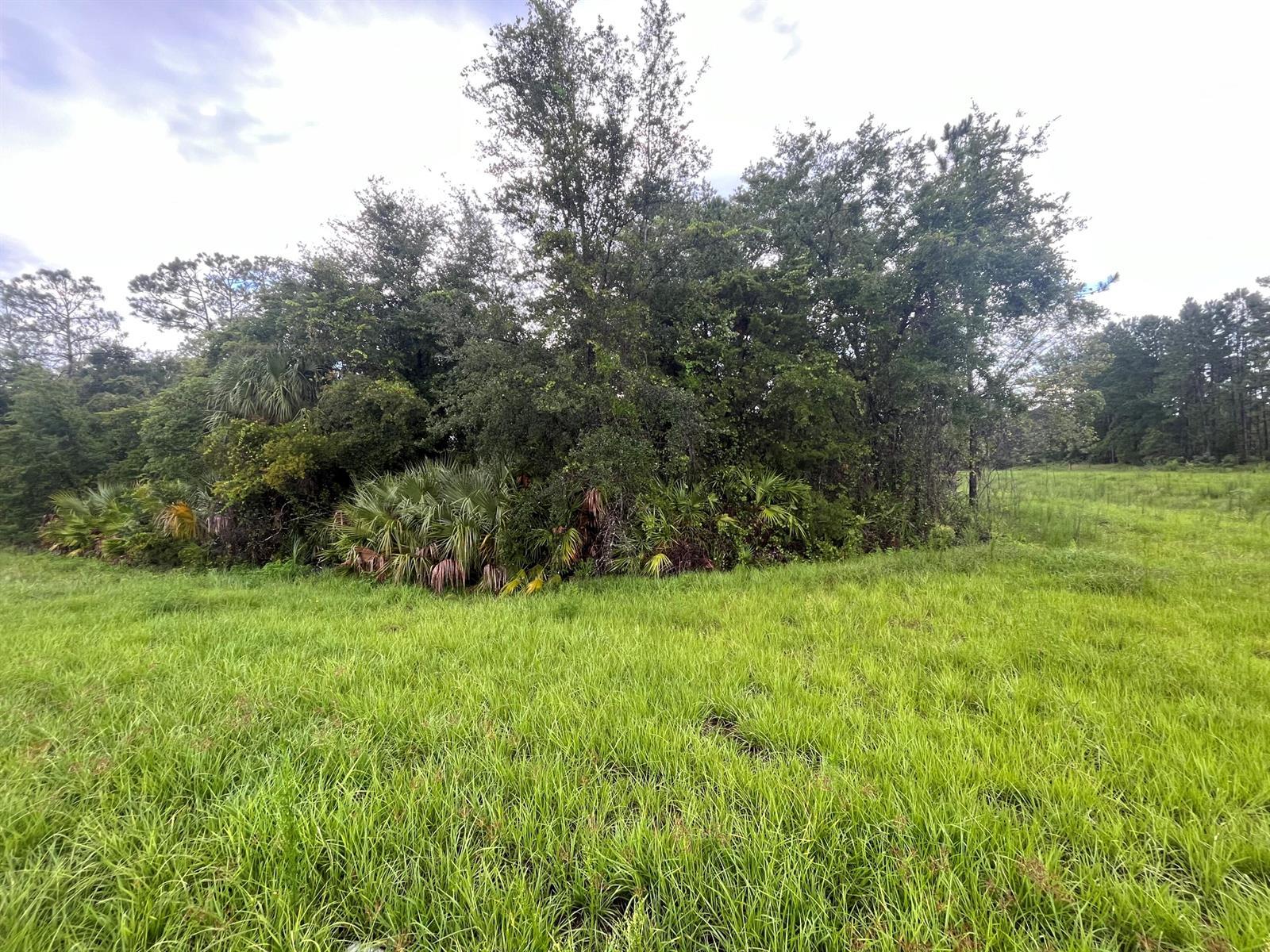 6883 St Johns Avenue, Palatka FL 32177 photo 5