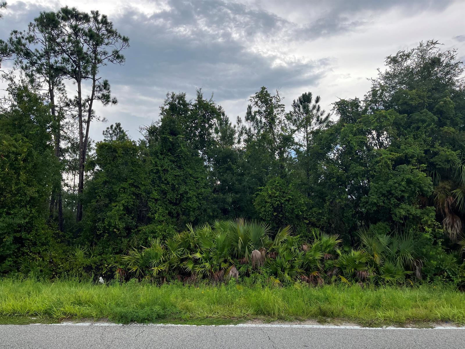 6883 St Johns Avenue, Palatka FL 32177 photo 4