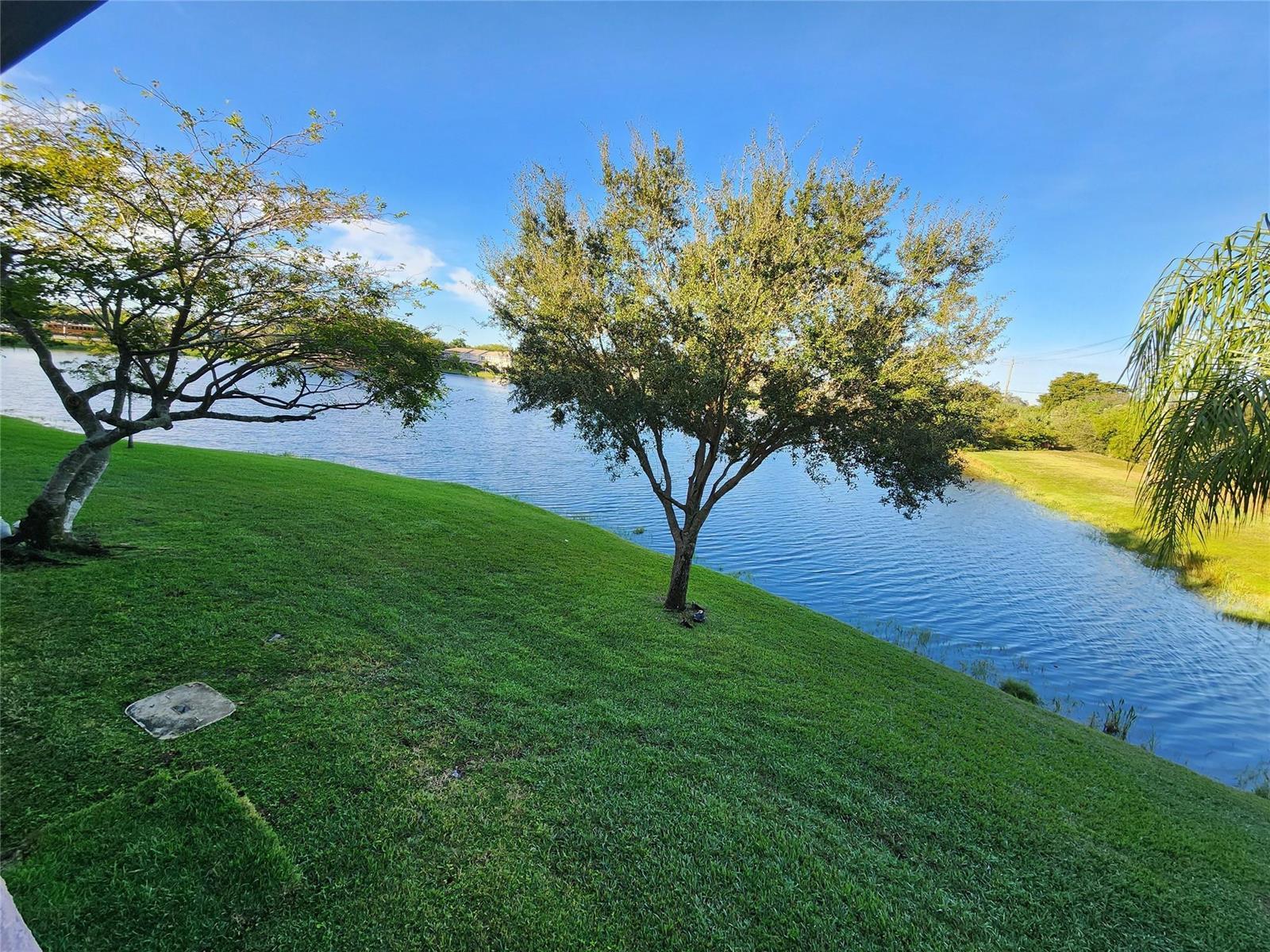 1156 NW 106th Terrace # 204, Hollywood FL 33026