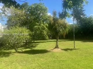 3577 SW 17th St, Miami FL 33145 photo 4