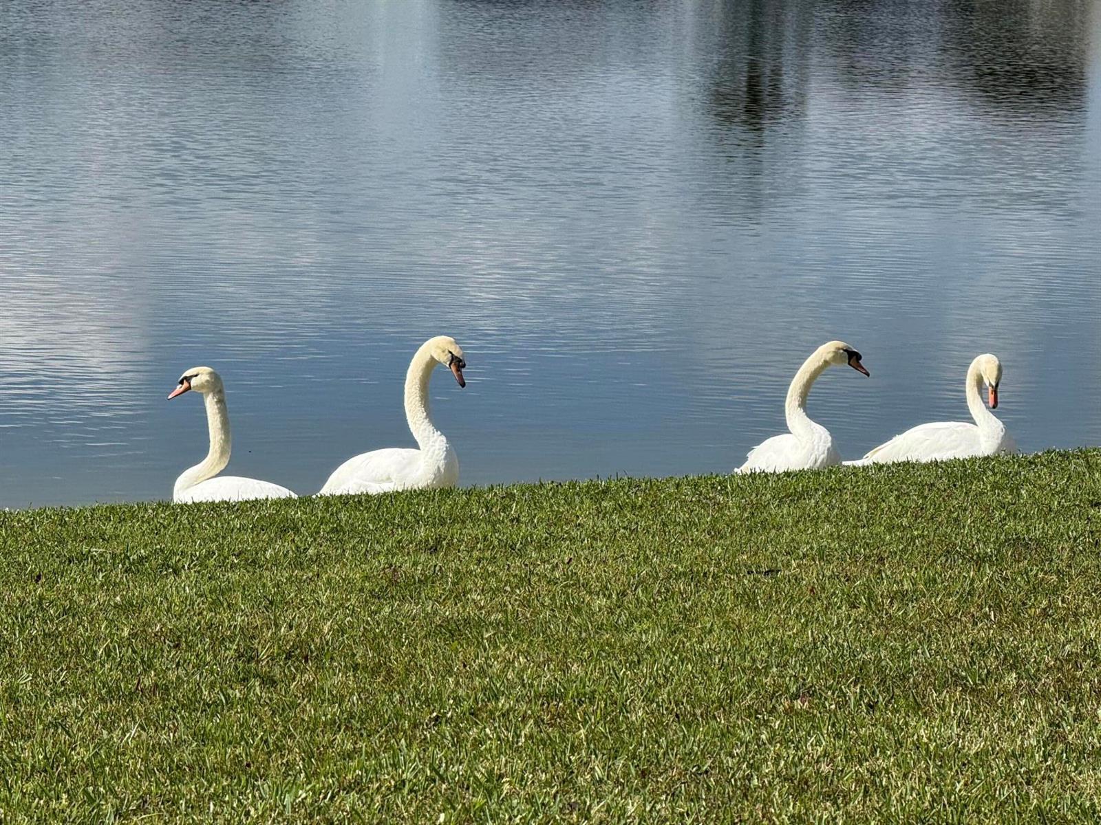 8913 SW Chevy Circle, Stuart FL 34997 photo 2