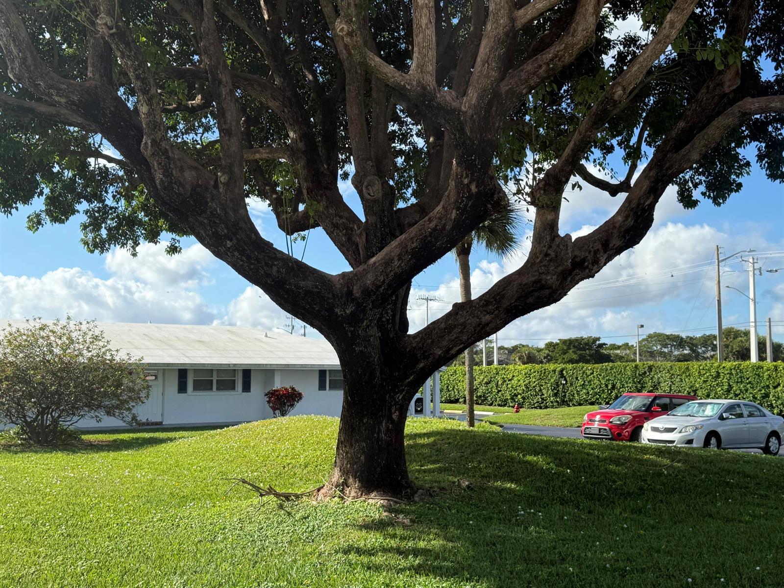 300 SW Golfview Terrace # 152, Boynton Beach FL 33426 photo 2