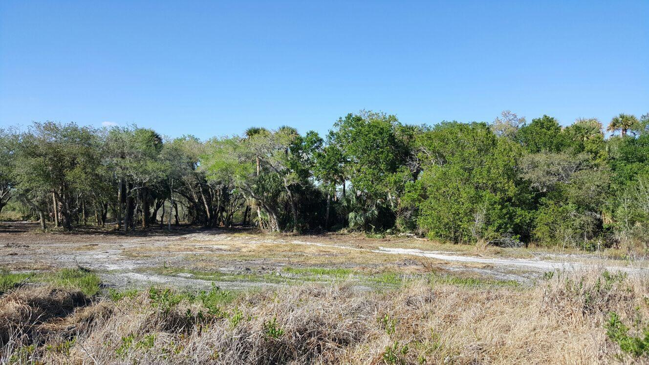 16120 NW 300th Street, Okeechobee FL 34972 photo 2