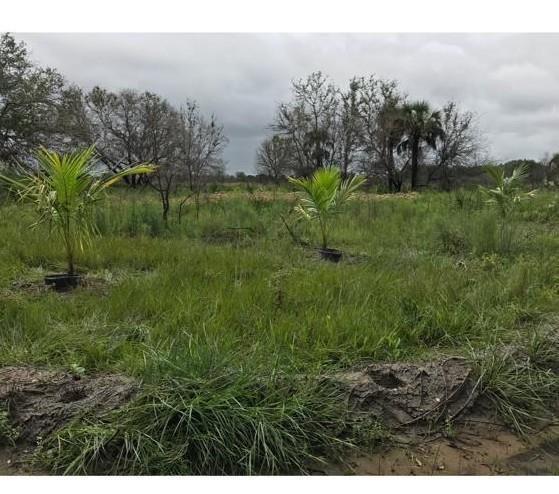16120 NW 300th Street, Okeechobee FL 34972