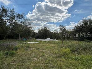 17878 NW 286th Street, Okeechobee FL 34972 photo 2