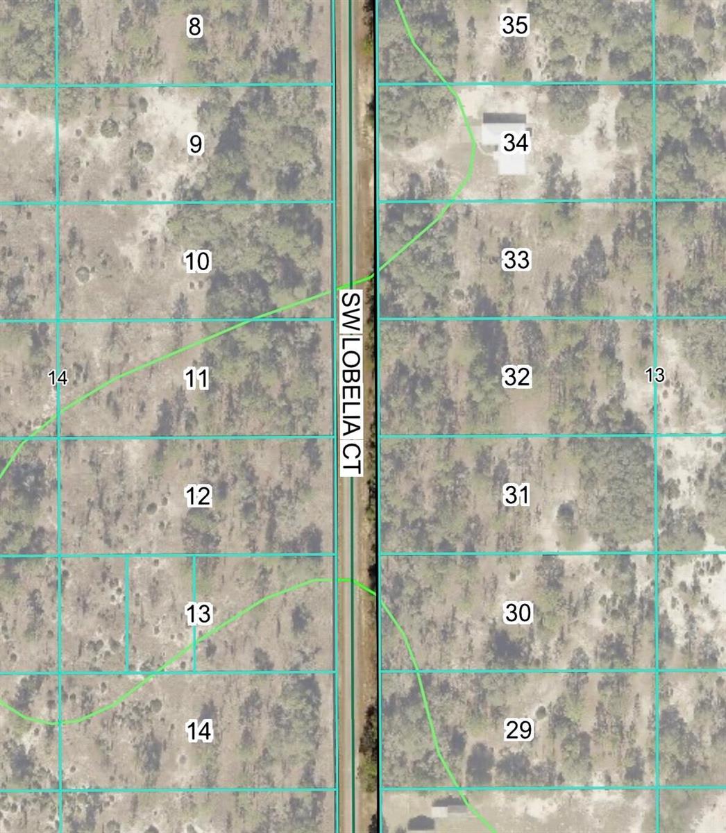 Tbd Lot 32 SW Lobelia Court, FL 34431 photo 3