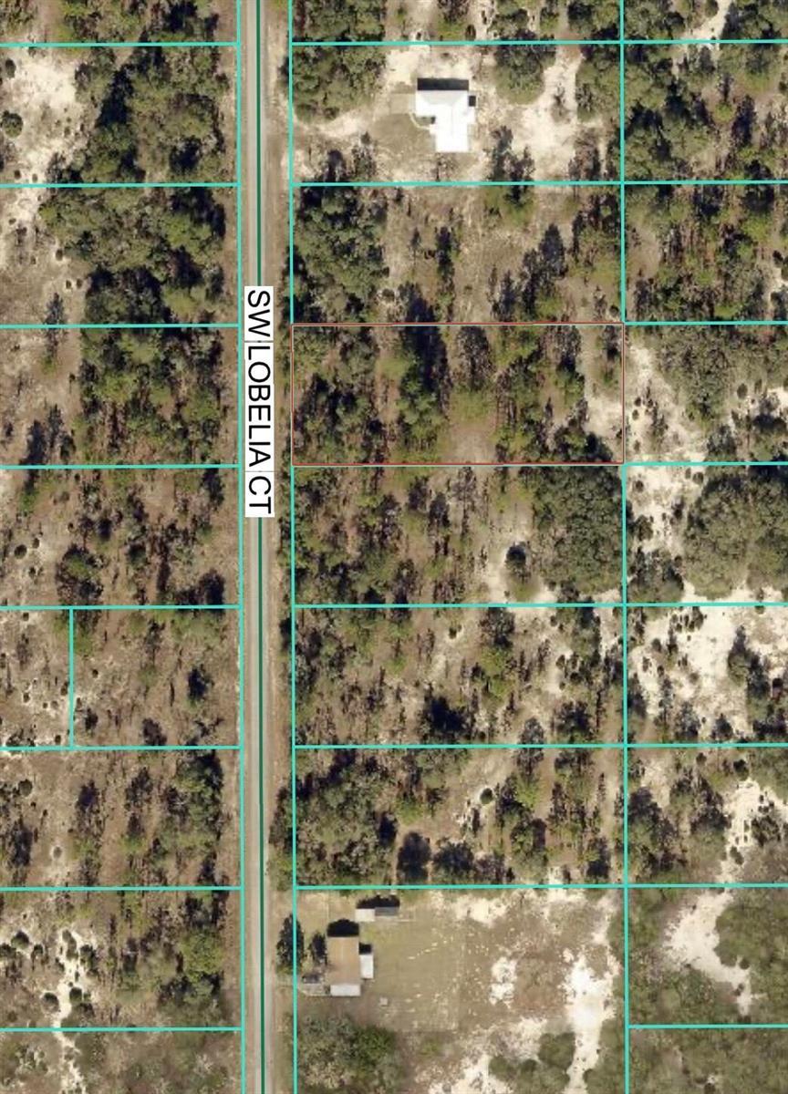 Tbd Lot 32 SW Lobelia Court, FL 34431