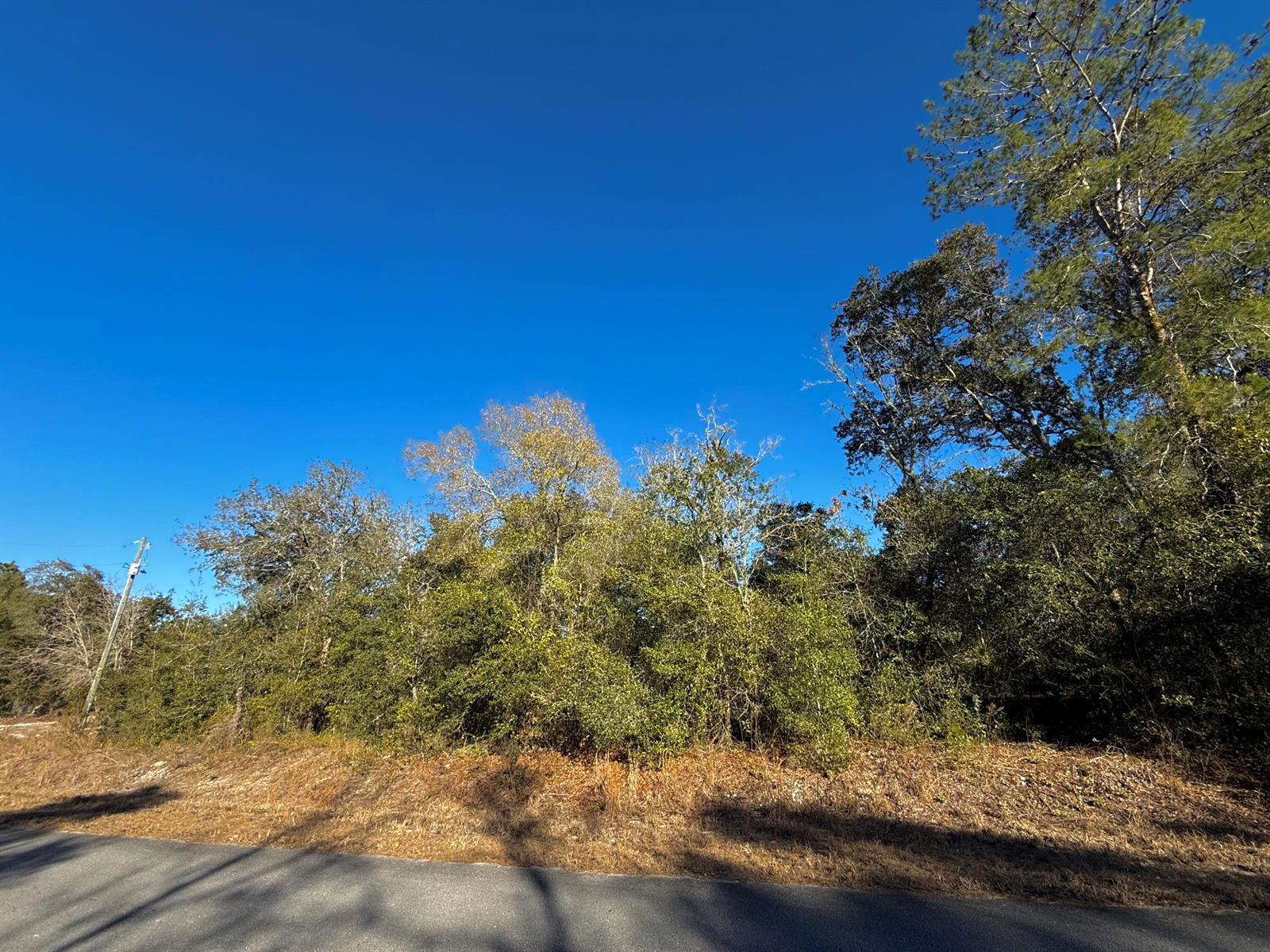 Tbd Lot 35 SW Lobelia Court, FL 34431 photo 2