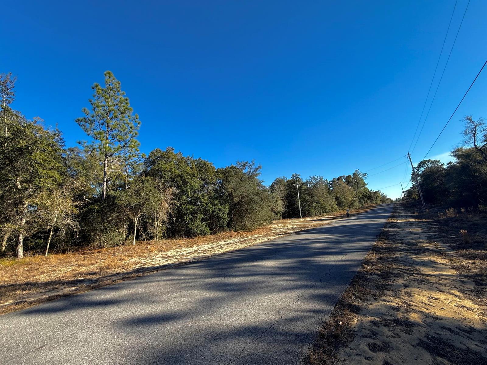 Tbd Lot 35 SW Lobelia Court, FL 34431 photo 3