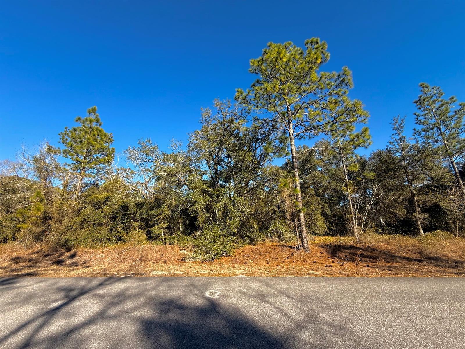 Tbd Lot 35 SW Lobelia Court, FL 34431