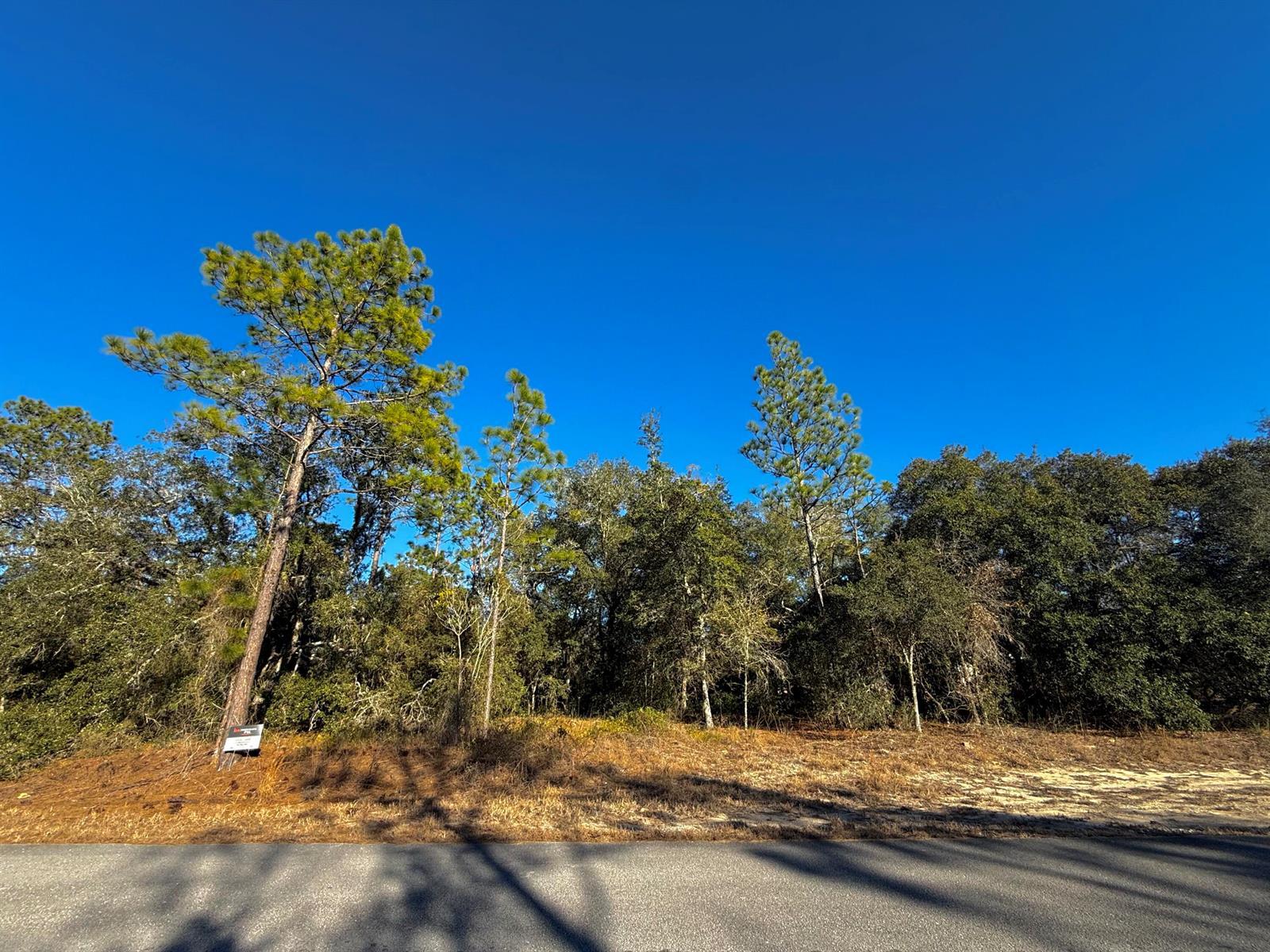 Tbd Lot 35 SW Lobelia Court, FL 34431 photo 4
