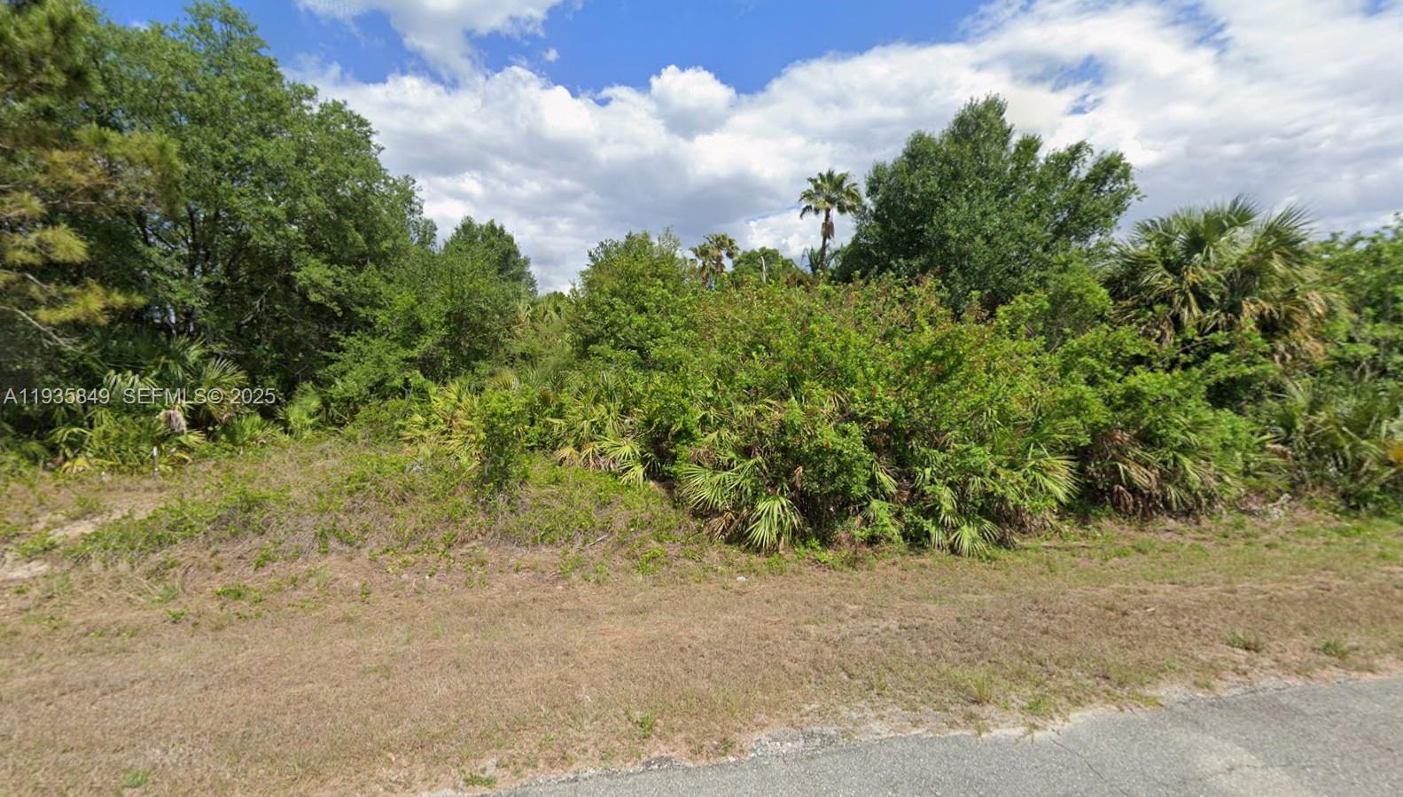 XXX Broadway Ave, Lehigh Acres FL 33972 photo 2