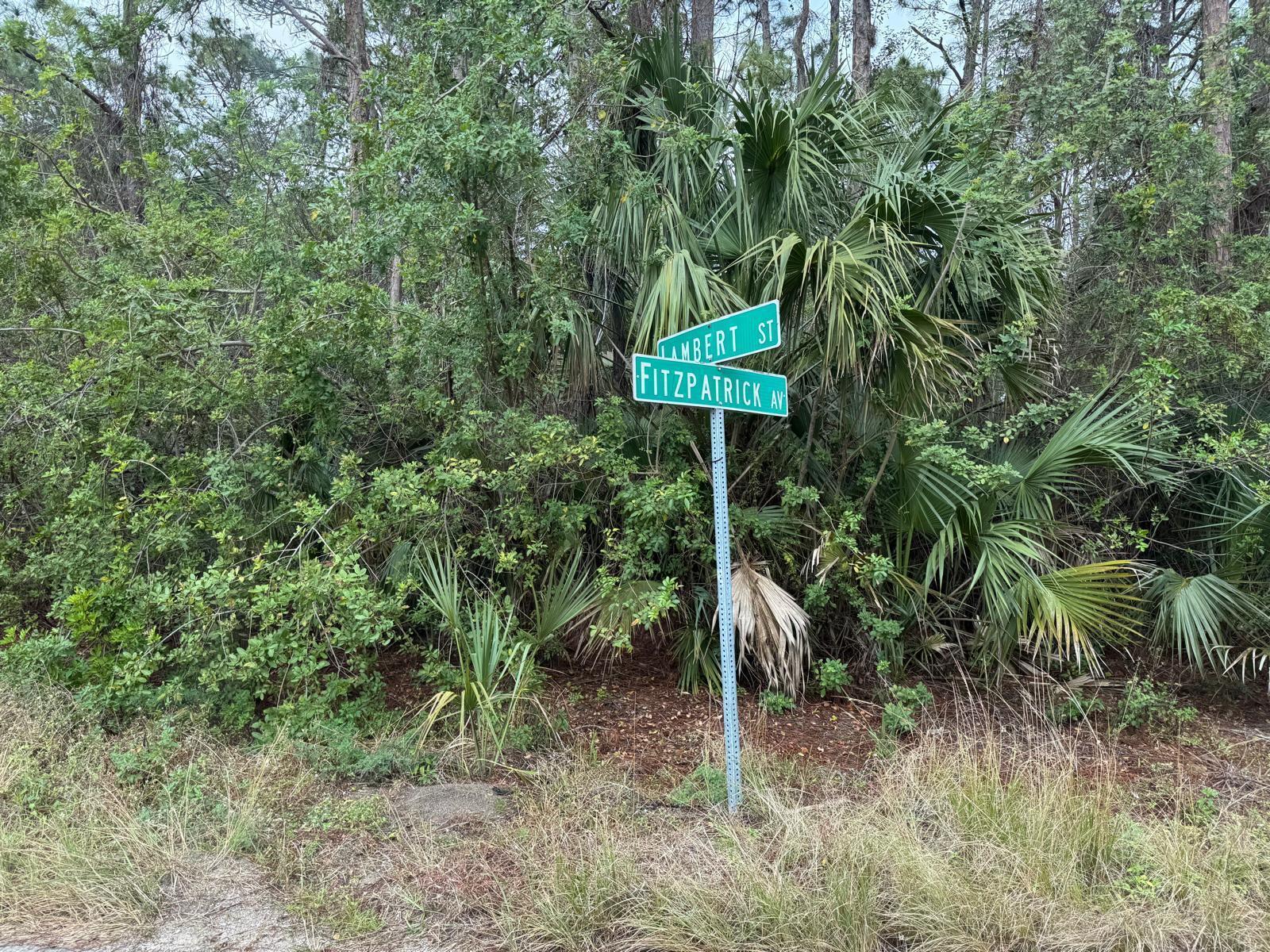 3395 Fitzpatrick Avenue SW, Palm Bay FL 32908