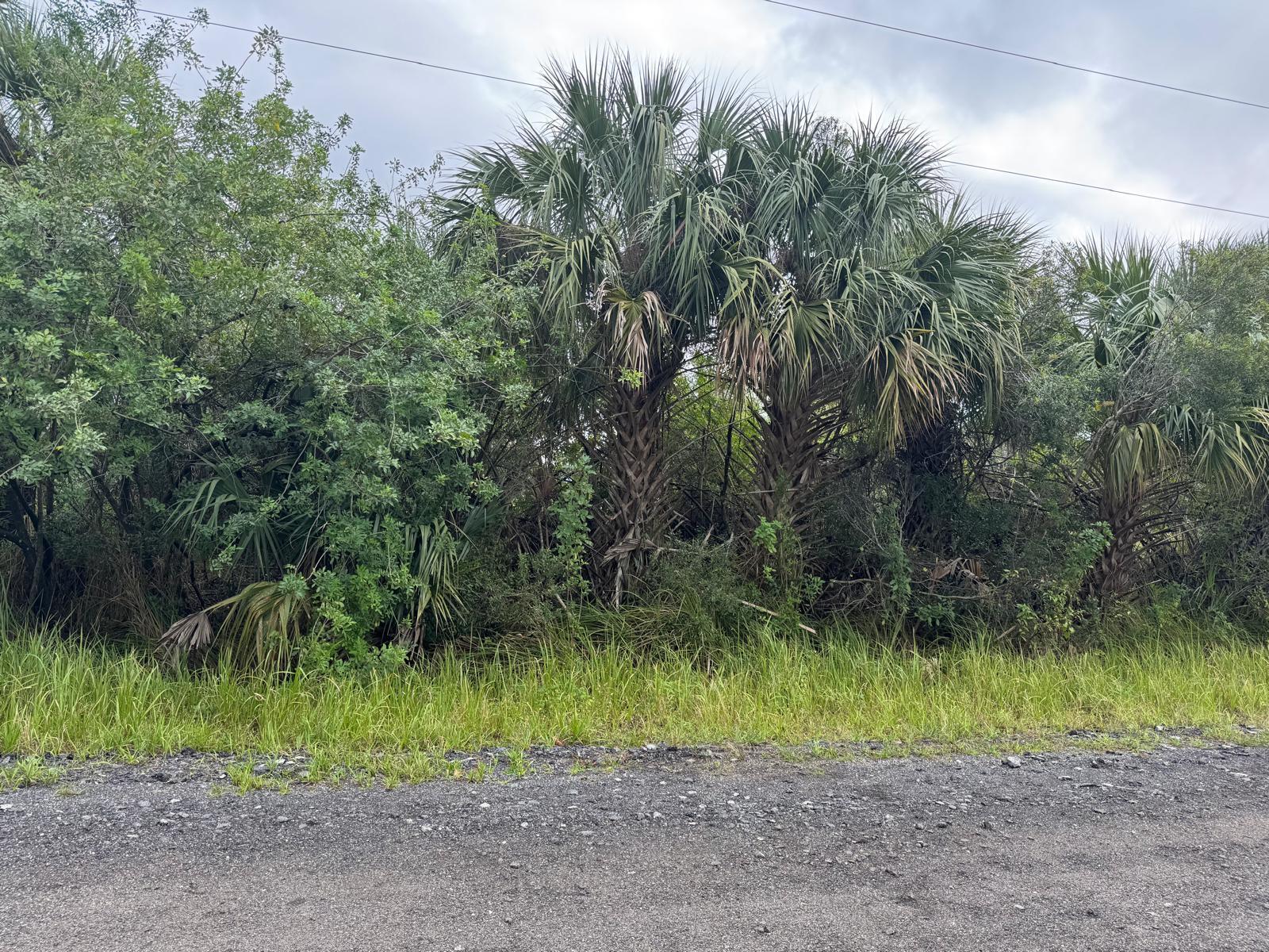 3395 Fitzpatrick Avenue SW, Palm Bay FL 32908 photo 4