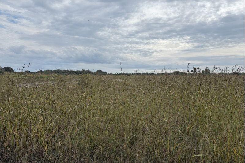 0 NW 306th Street, Okeechobee FL 34972