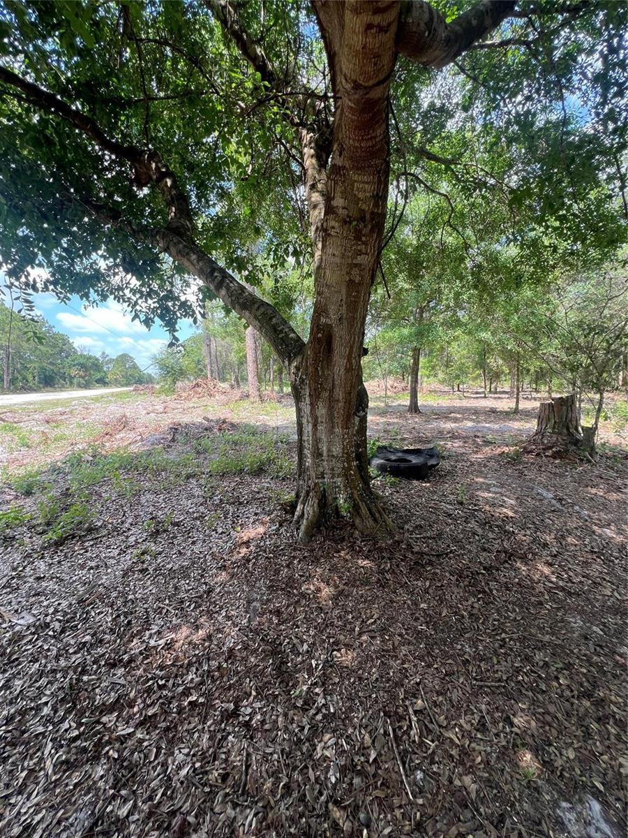 681 N Perimeter Road, Clewiston FL 33440 photo 3