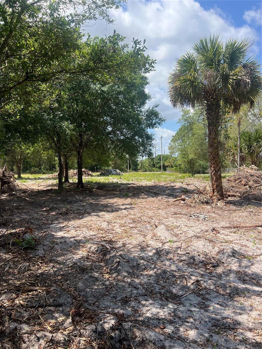 681 N Perimeter Road, Clewiston FL 33440 photo 4