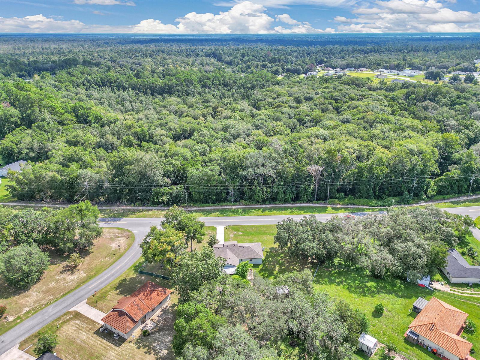 814 Oak Road, Ocala FL 34472 photo 4
