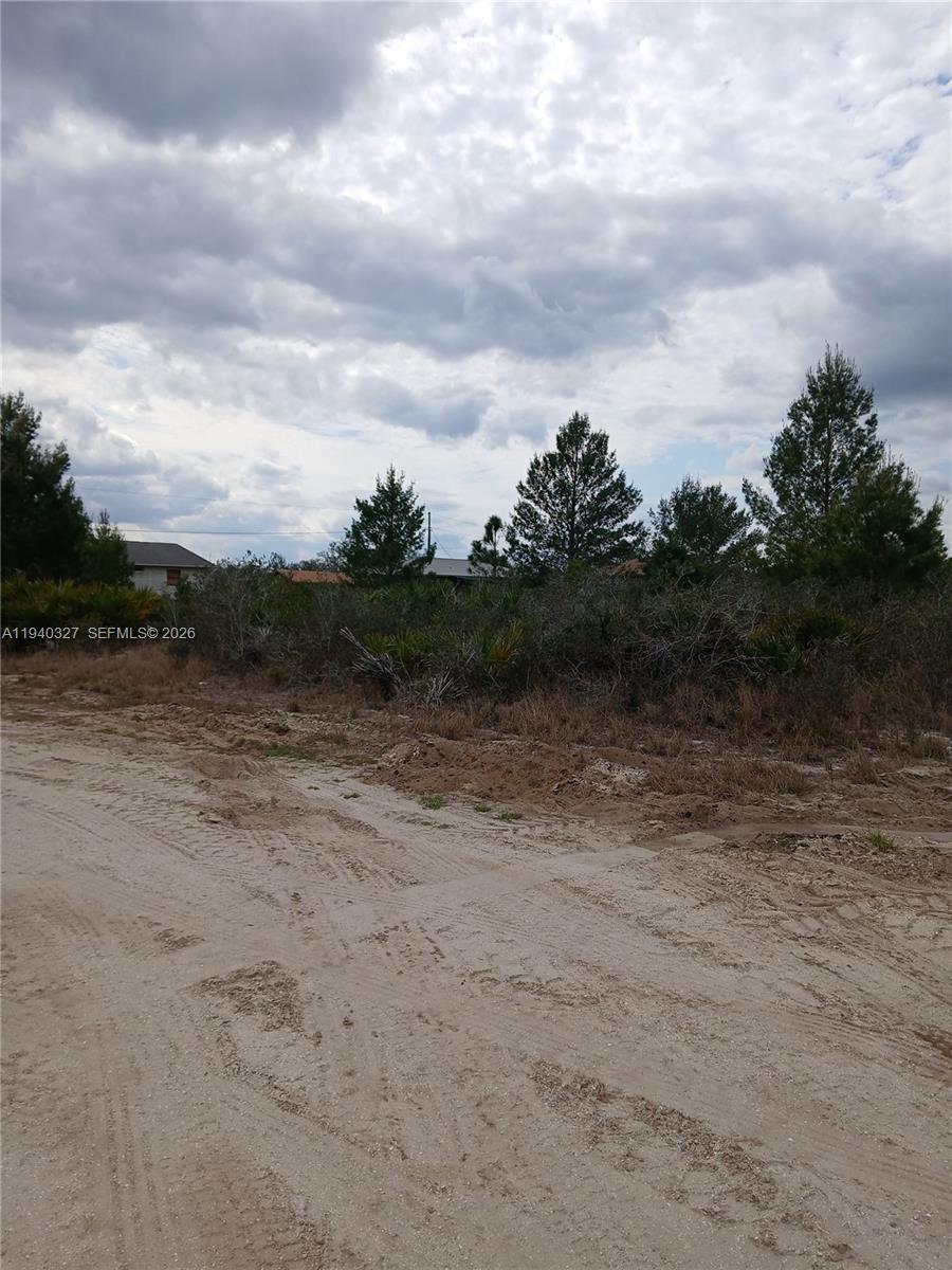 2935 W GAFFNEY RD, Avon Park FL 33825 photo 2