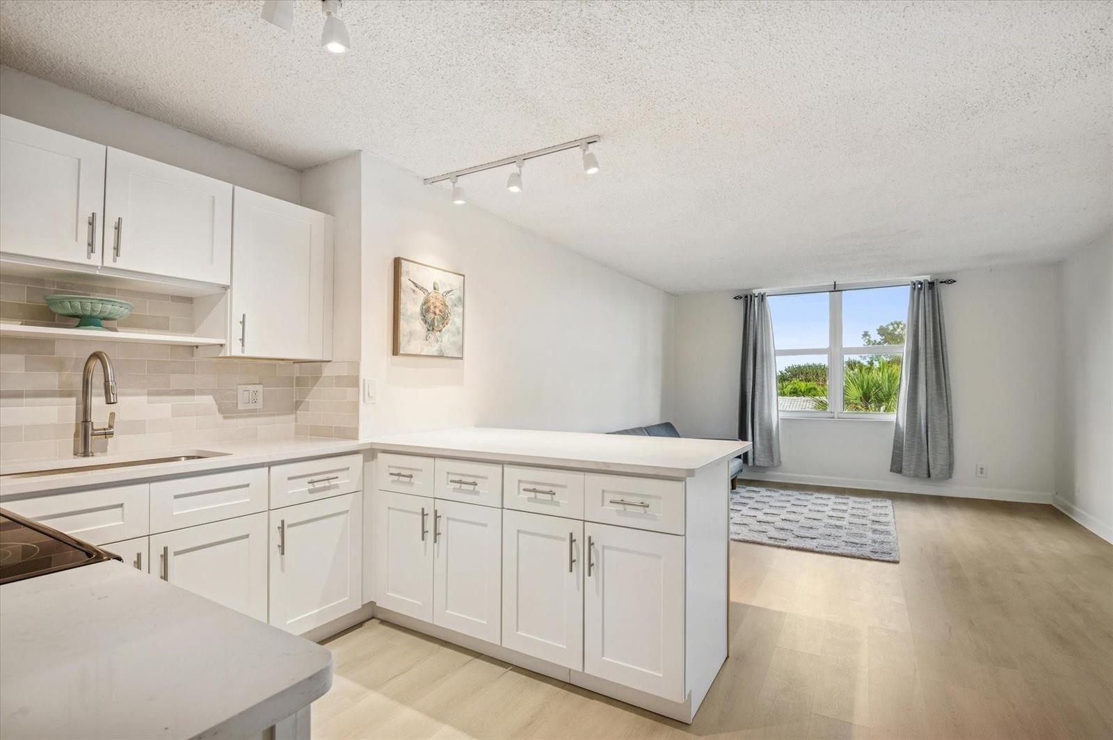 3000 N Ocean Boulevard # 405, Fort Lauderdale FL 33308 photo 3