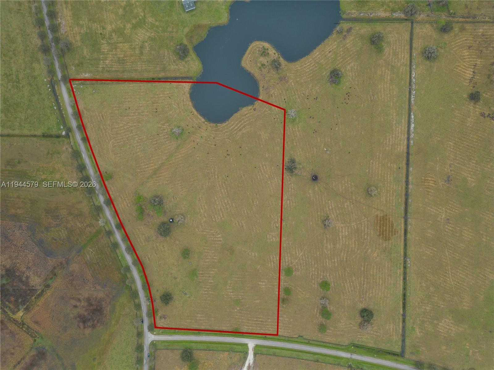 25750 SW Jockeys Run, Okeechobee FL 34974 photo 5