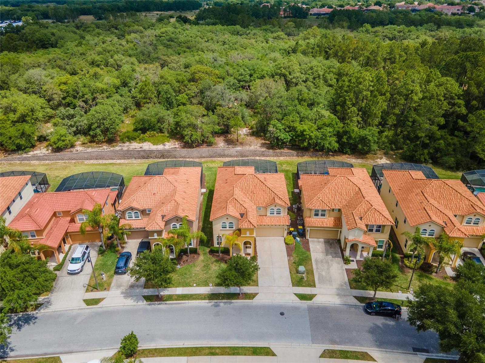 446 Orange Cosmos Boulevard, Davenport FL 33837 photo 3