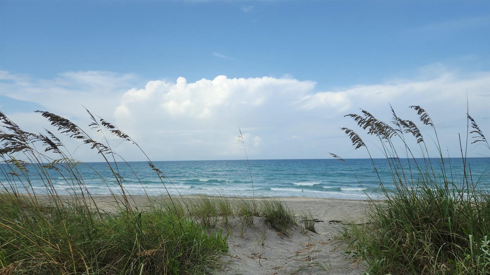 115 Olympus Way, Jupiter FL 33477 photo 3