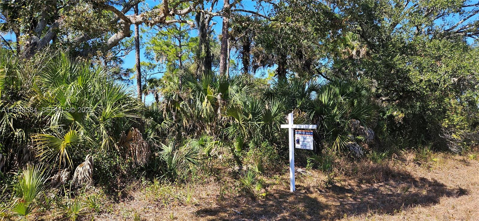 414 Valleybrook Drive, La Belle FL 33935 photo 2