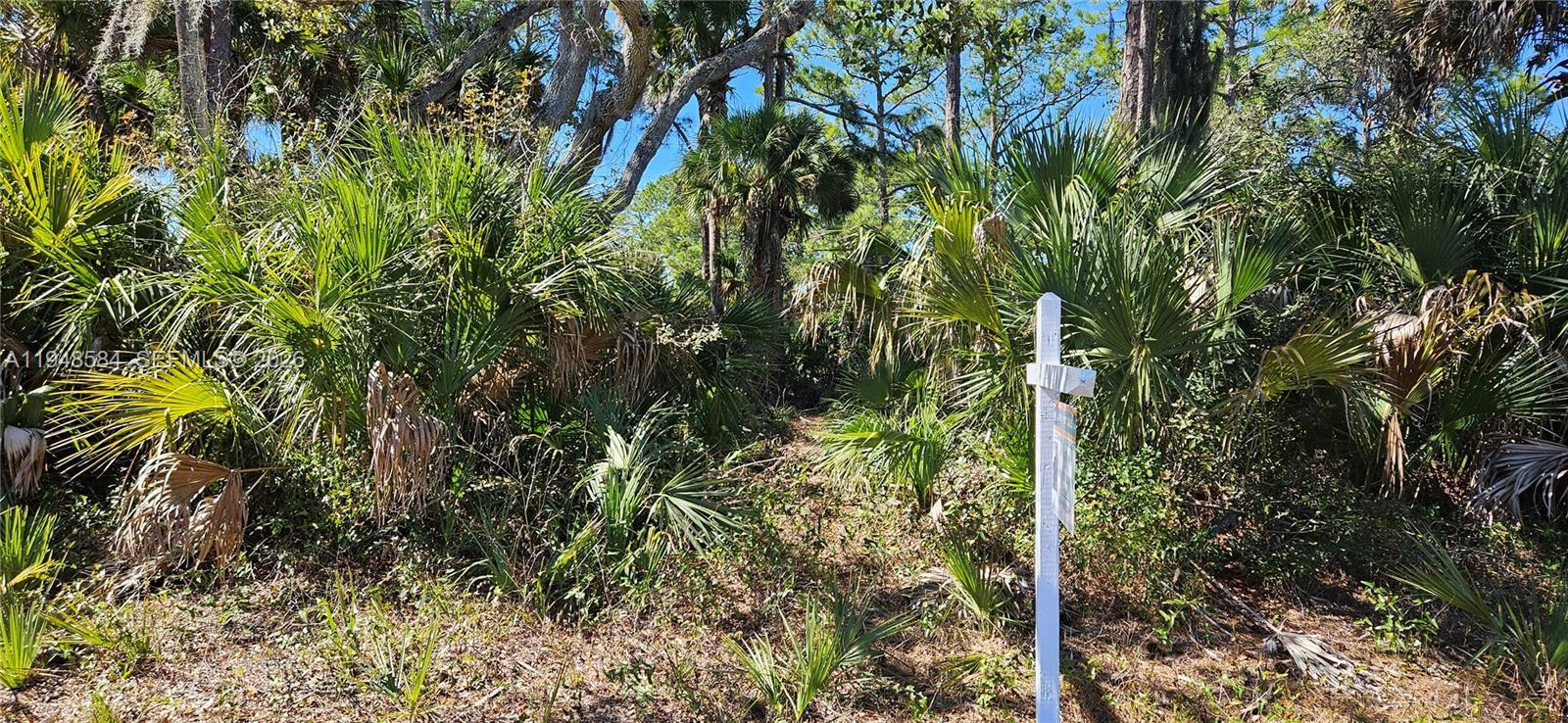414 Valleybrook Drive, La Belle FL 33935 photo 3