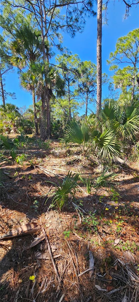 414 Valleybrook Drive, La Belle FL 33935 photo 5