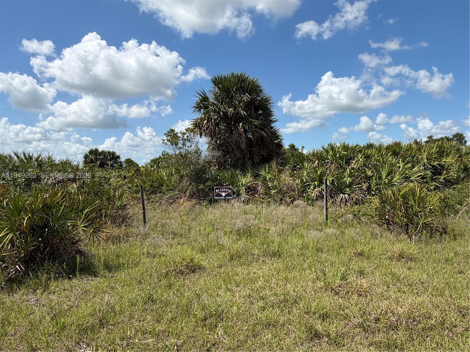 27325 NW 72, Okeechobee FL 34972 photo 4