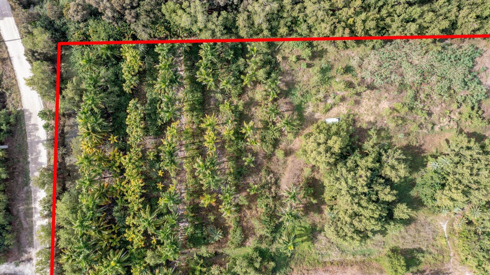 20199 Cole Lane, FL 33470 photo 5