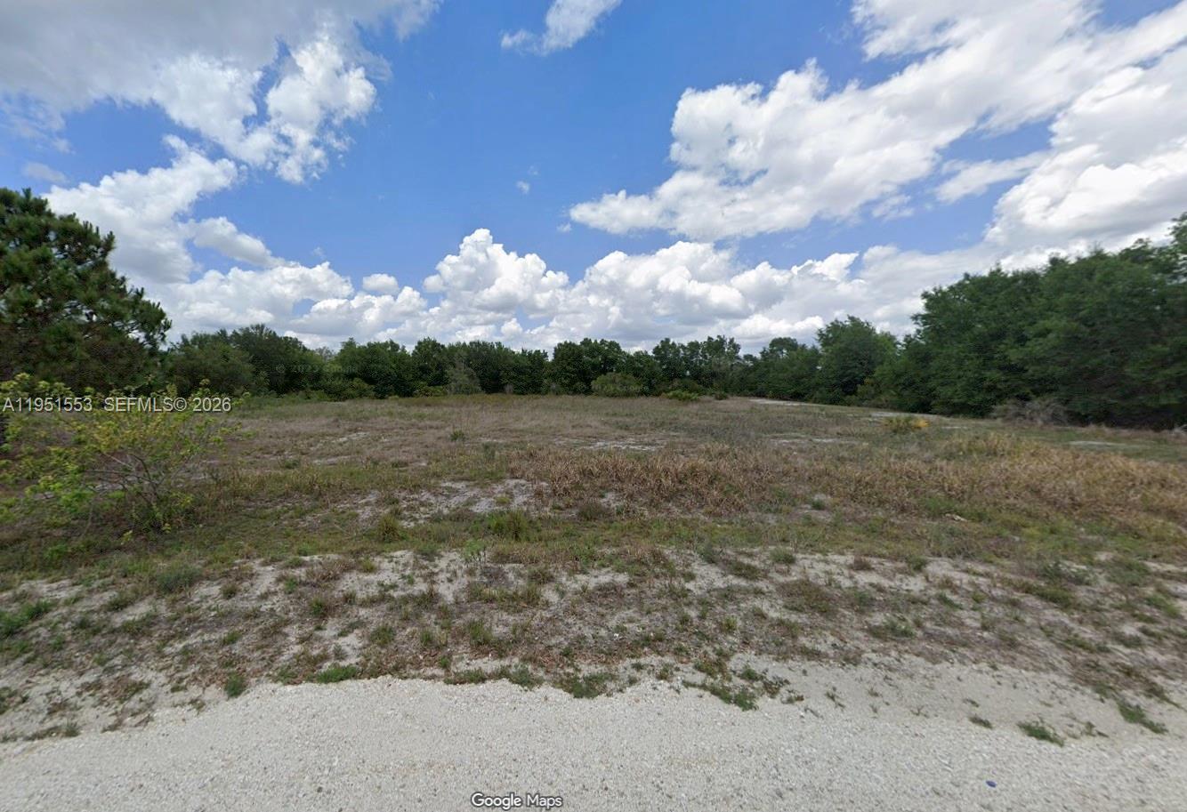 1906 W Bermuda Rd, Avon Park FL 33825