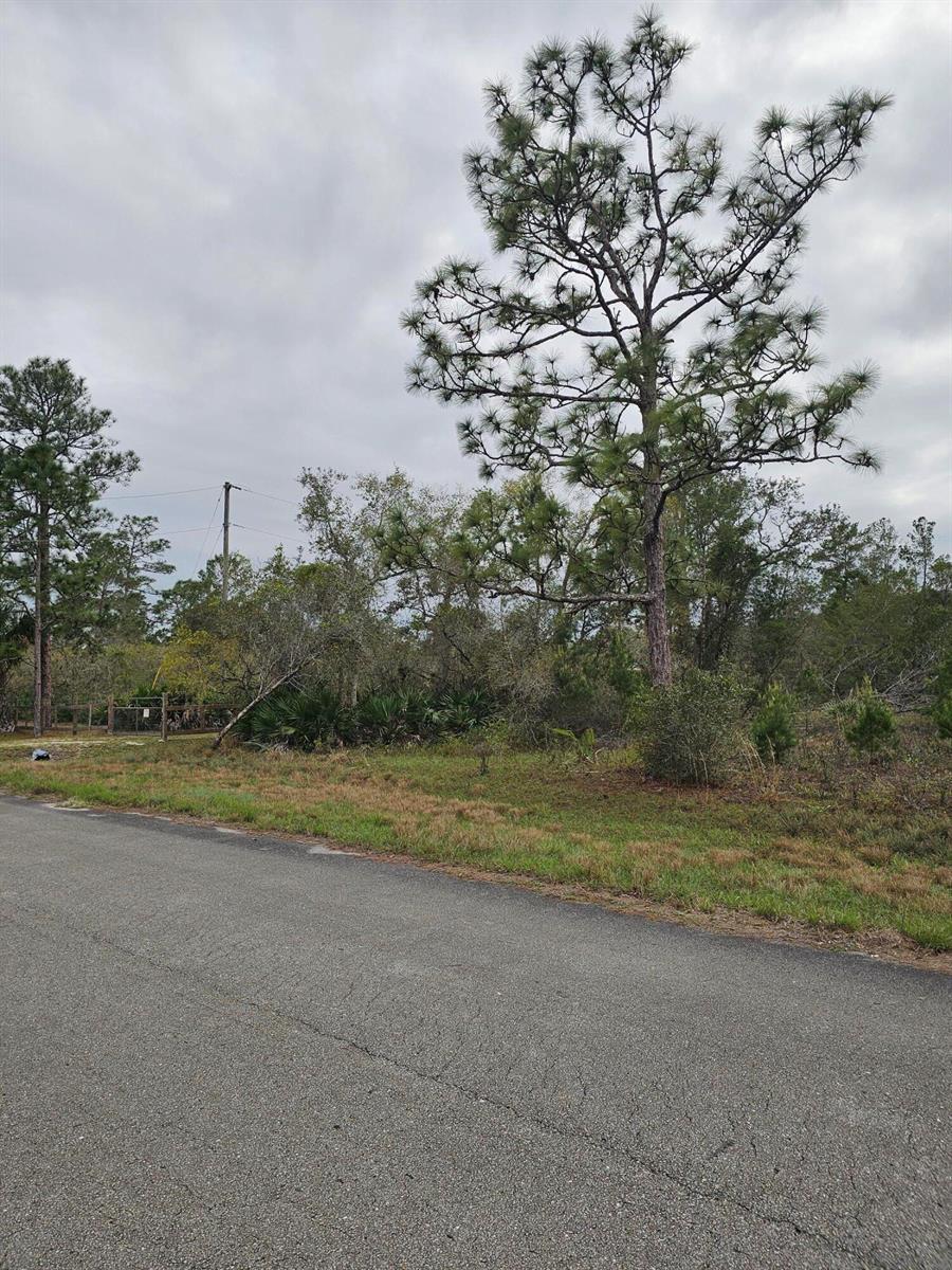 35485 NE 7th Drive, Okeechobee FL 34972 photo 2