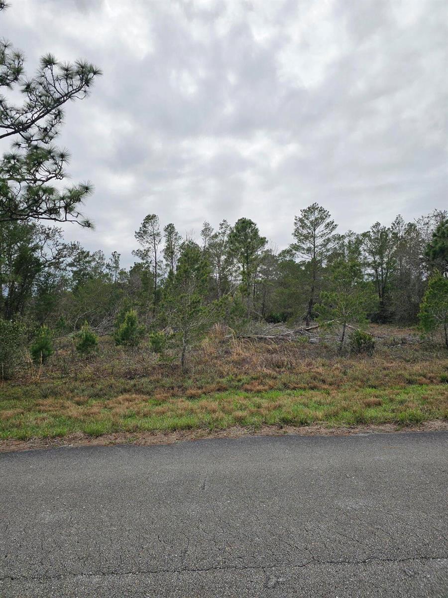 35485 NE 7th Drive, Okeechobee FL 34972 photo 3