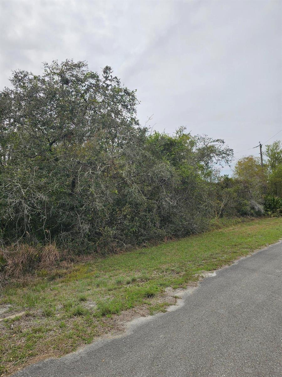 35485 NE 7th Drive, Okeechobee FL 34972 photo 5
