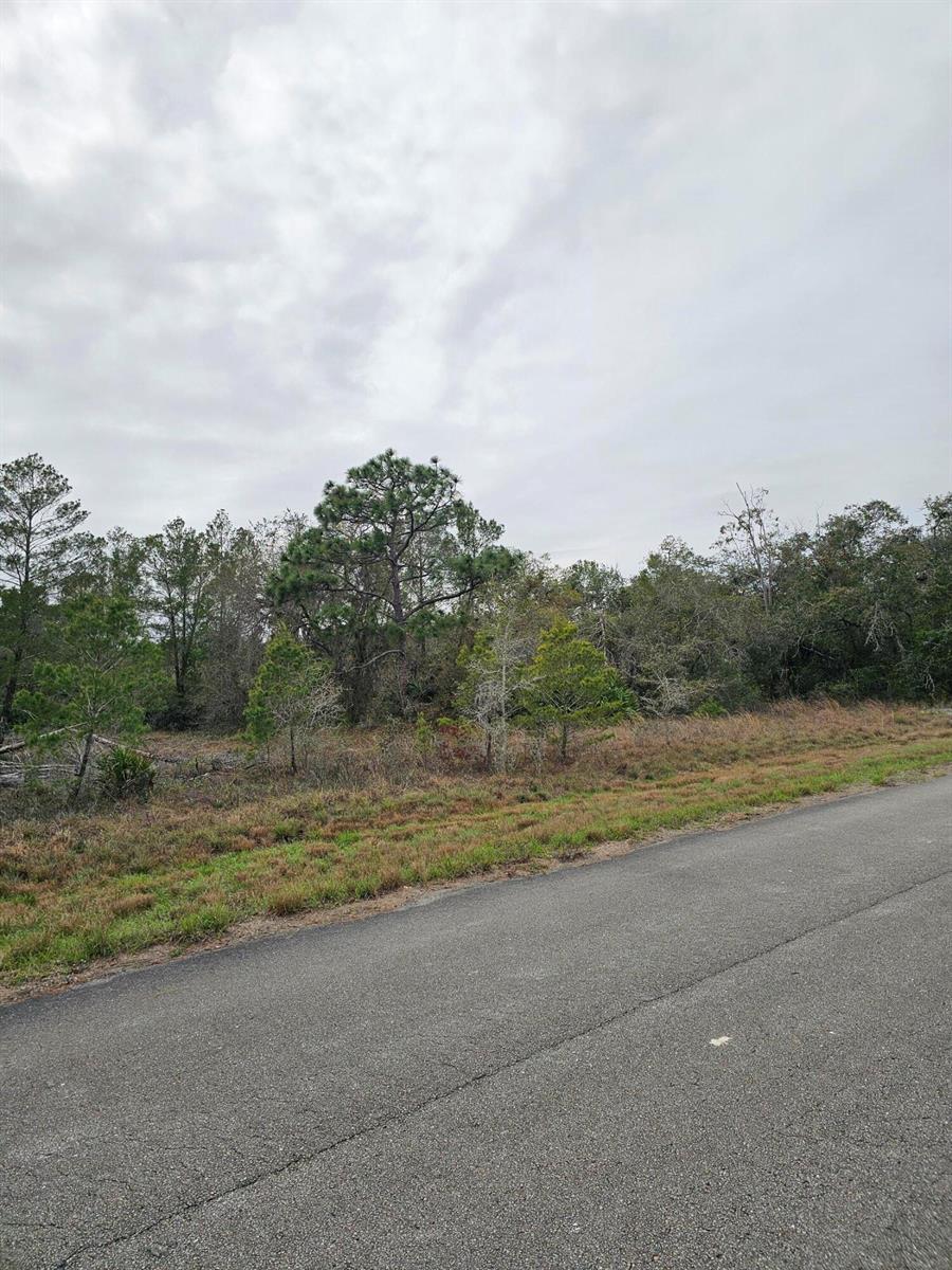 35485 NE 7th Drive, Okeechobee FL 34972 photo 4